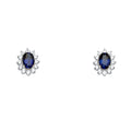 14KW Blue CZ Earring / Set