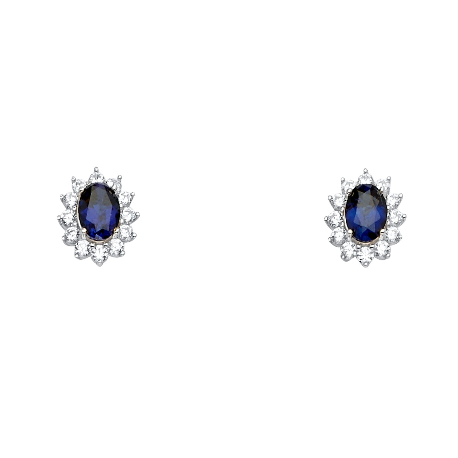 14KW Blue CZ Earring / Set