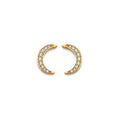 14KY CZ Moon Push Back Earring