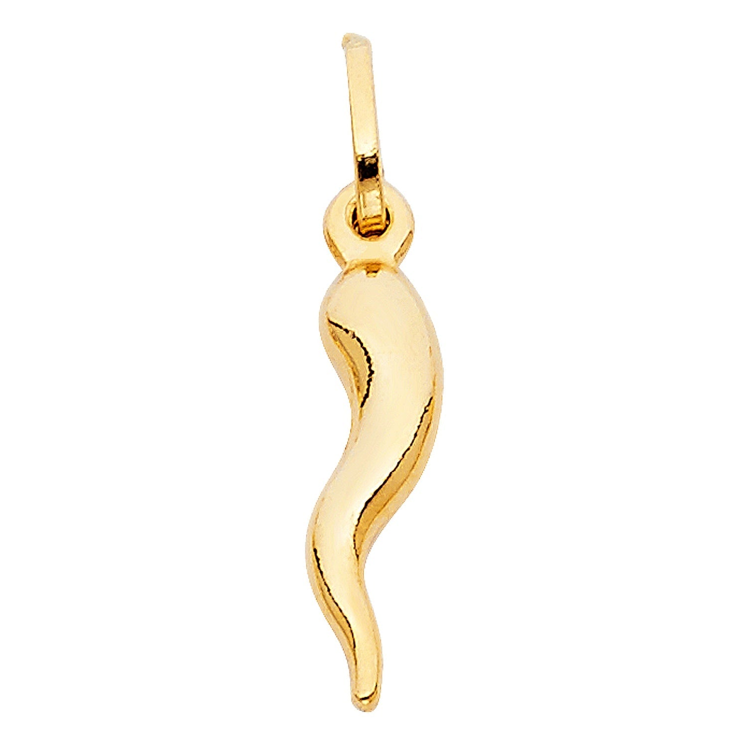 14KY HOLLOW HORN PENDANT (PT456)