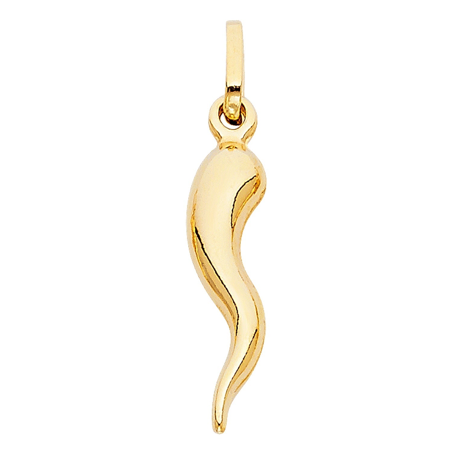 14KY HOLLOW HORN PENDANT (PT457)